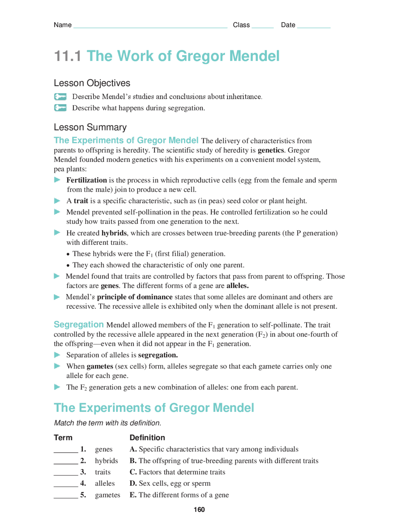 11 1 The Work Of Gregor Mendel Lecture Notes Genetics Docsity Worksheets Library