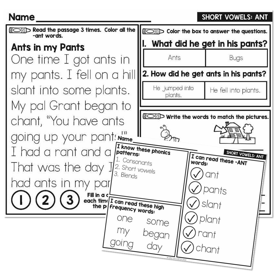 Ant Reading Comprehension Worksheets