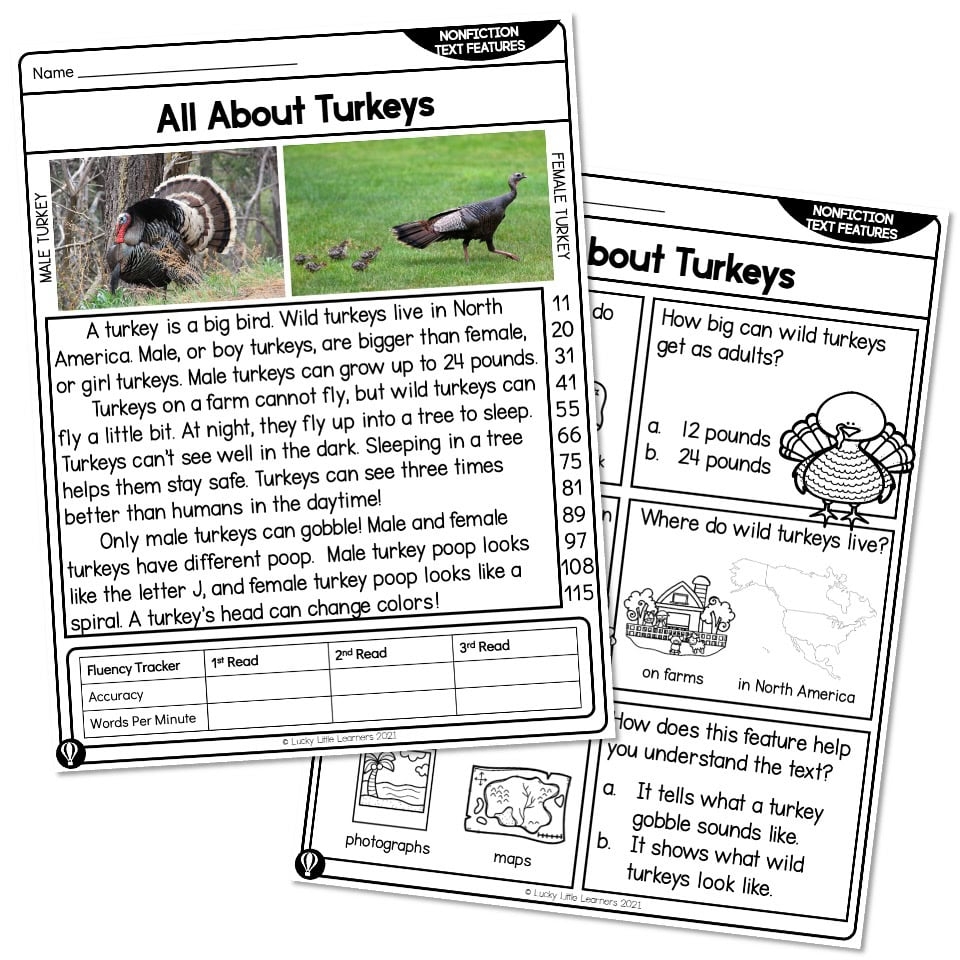 1st Grade Nonfiction Text Features Reading Passage All About Turkeys Lucky Little Learners