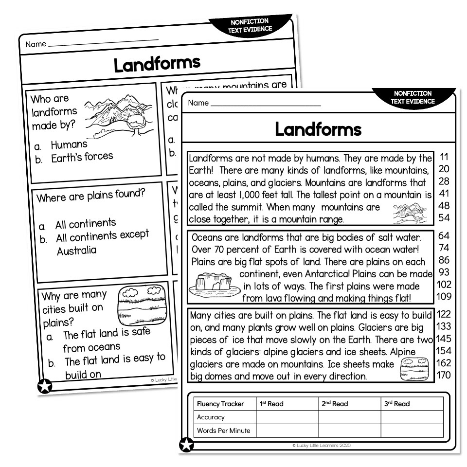 5 Ws Reading Comprehension Worksheet