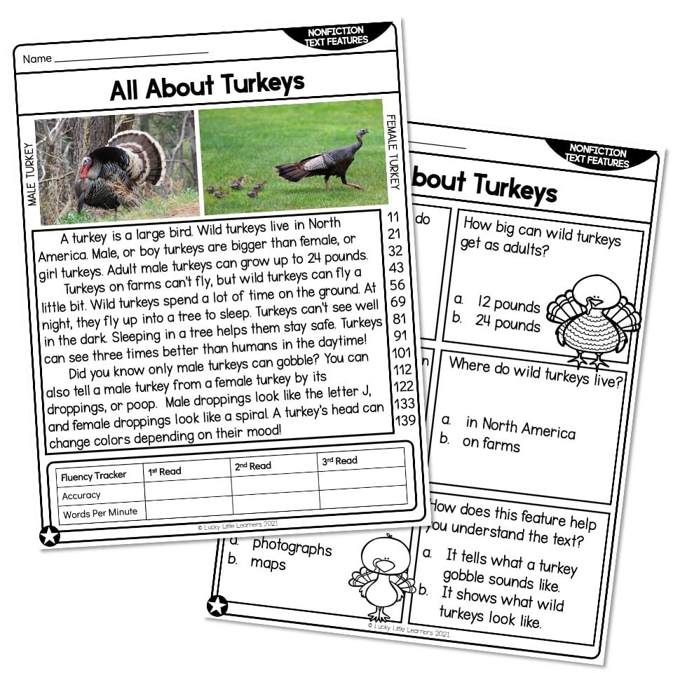 2Nd Grade Nonfiction Reading Comprehension Worksheets
