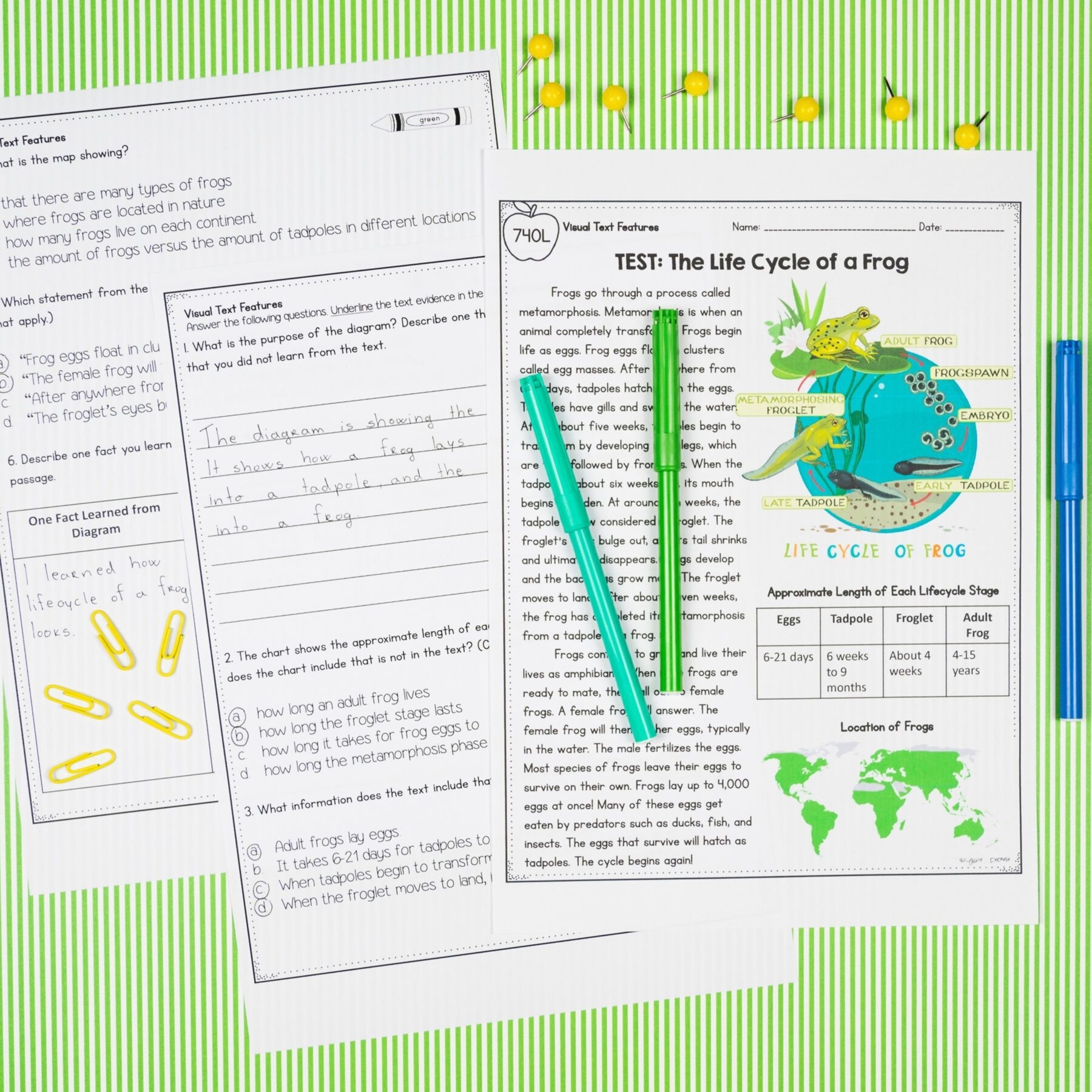 4th Grade Florida BEST Reading Comprehension Bundle MagiCore