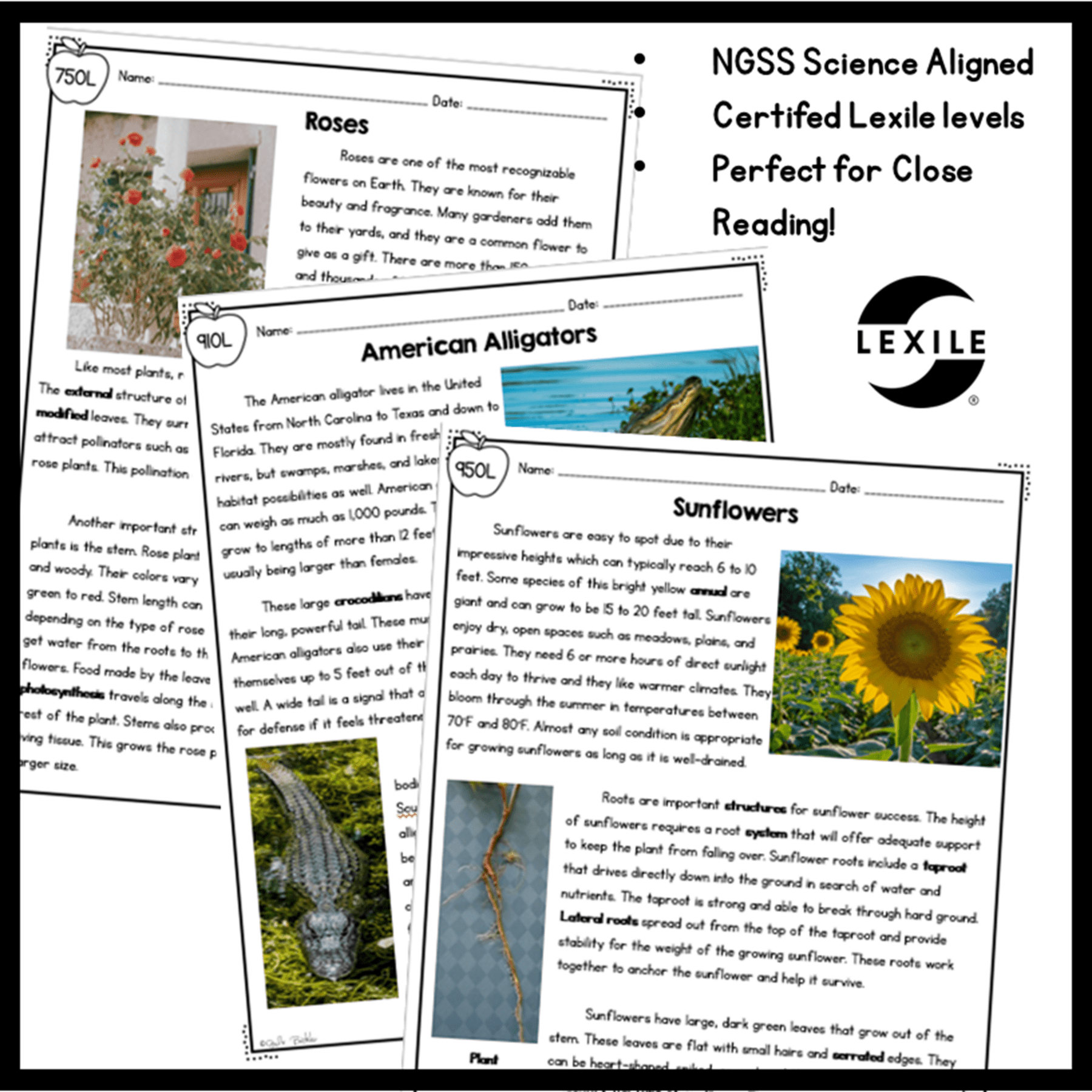 4Th Grade Science Reading Comprehension Worksheets