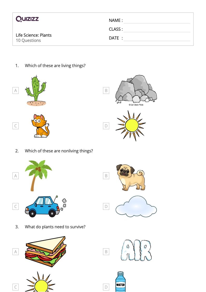 Free Printable 1St Grade Science Worksheets Free Printable 1St Grade Science Worksheets