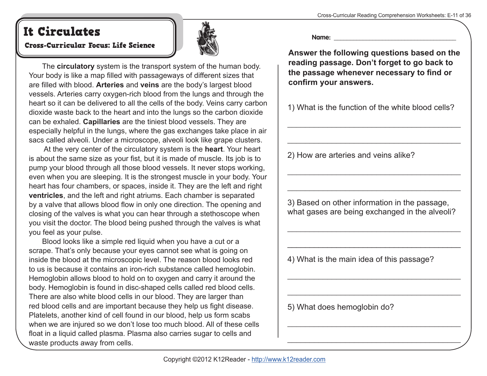 5Th Grade E Reading Comprehension Worksheets