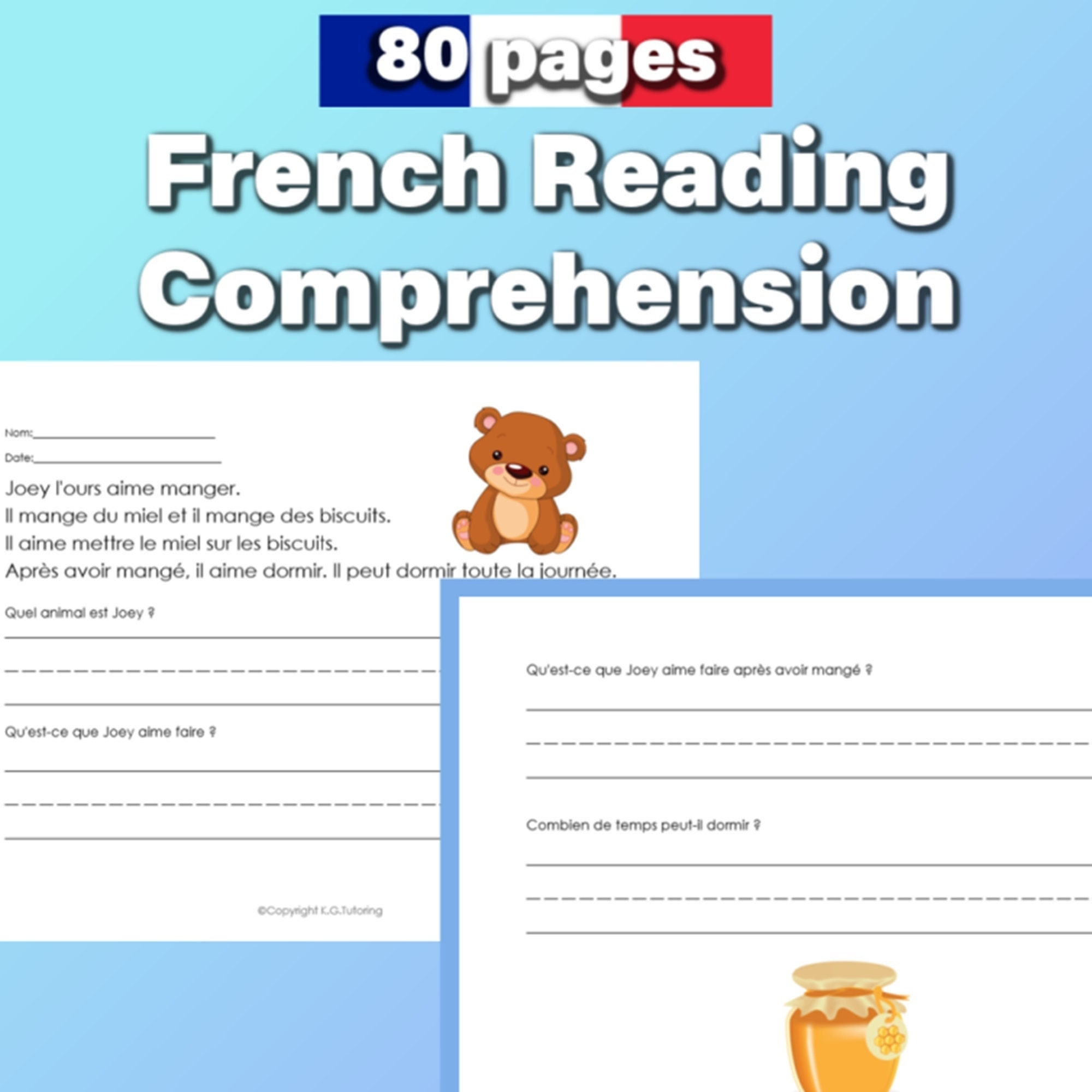 French Reading Comprehension Worksheets For Beginners