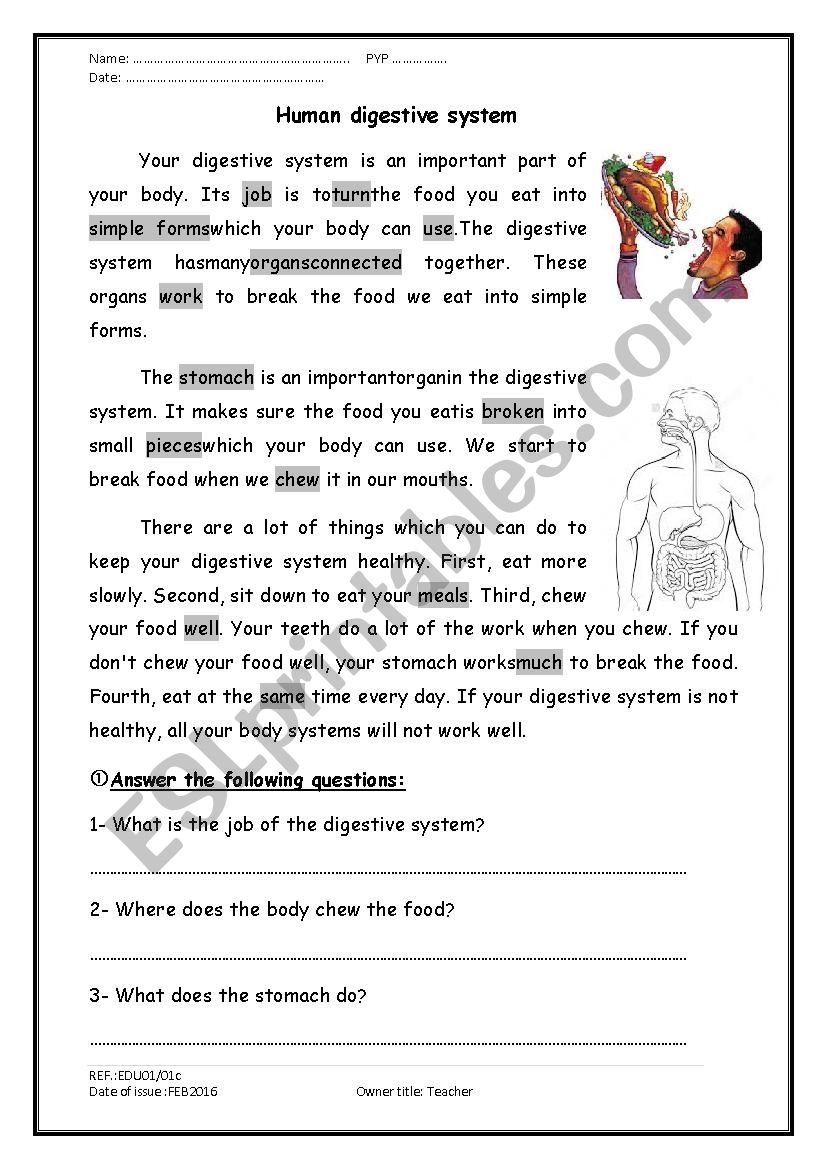 A Reading Comprehension Passage About The Digestive System ESL Worksheet By Mohamed Hamed