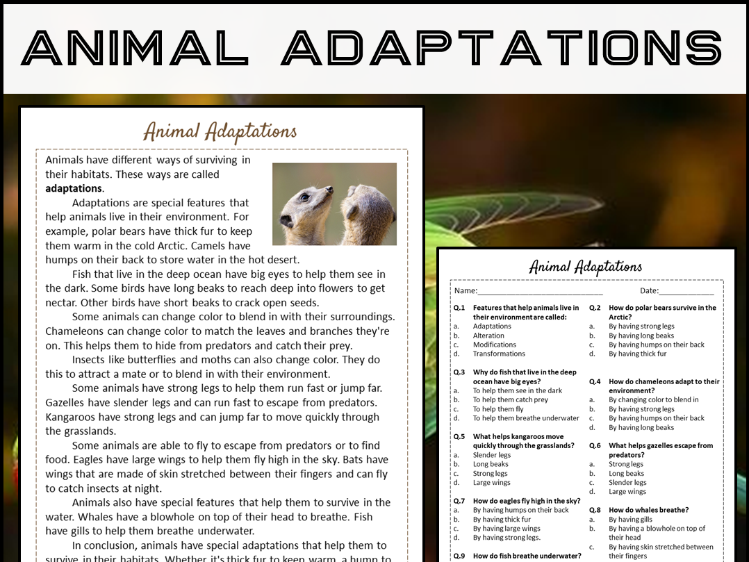 Animal Adaptations Reading Comprehension Passage And Questions PDF Teaching Resources