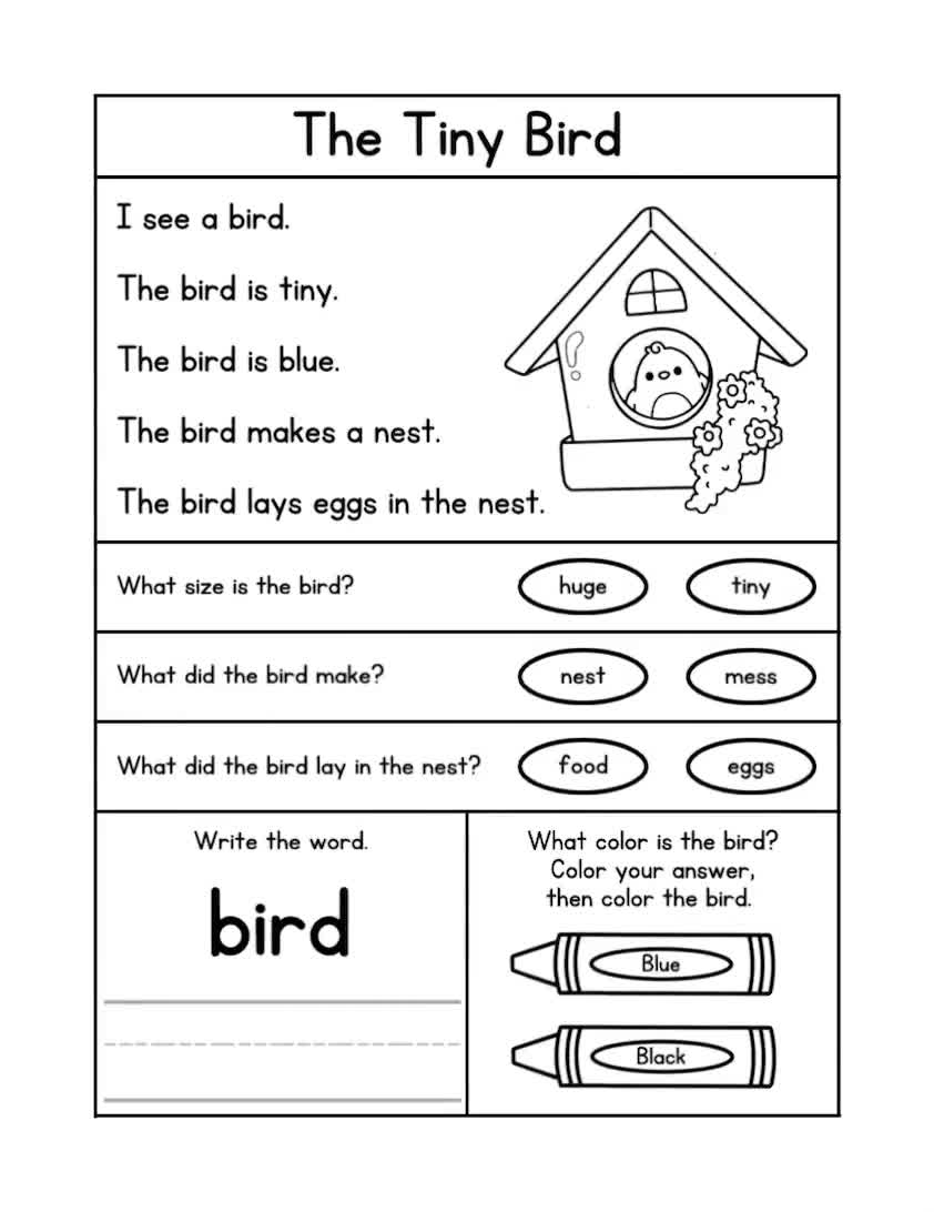 ANIMAL Reading Comprehension Worksheets Kindergarten Reading Reading Passages With Questions First Grade Reading Second Grade Reading Etsy UK