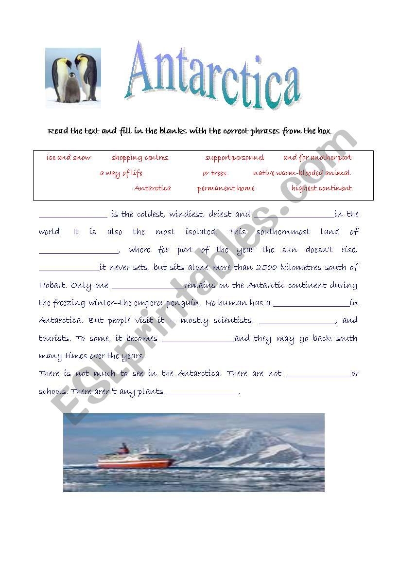 Antarctica Reading Comprehension ESL Worksheet By Katia Del Pilar