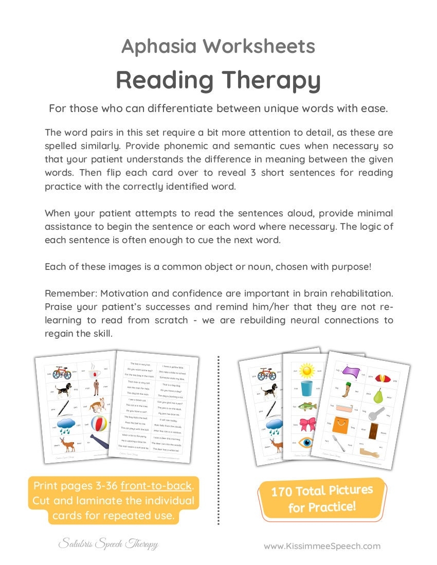 Aphasia Reading Therapy 2 NOUNS Reading Comprehension Speech Therapy Etsy