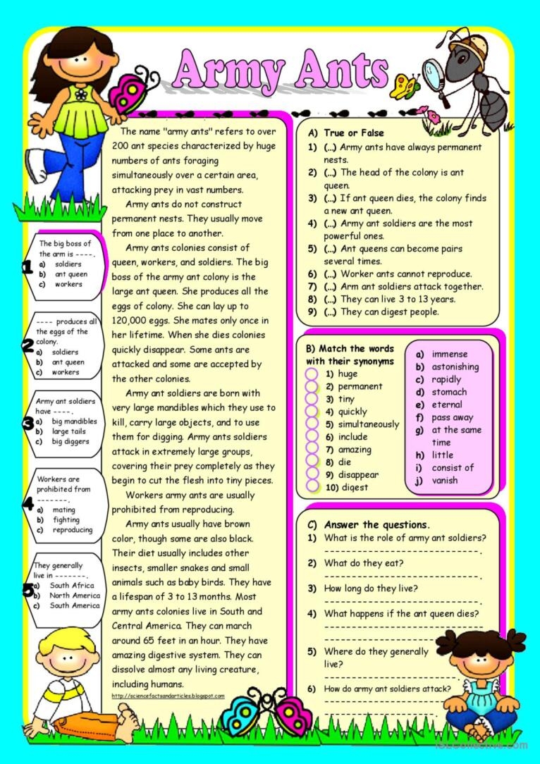 ARMY ANTS Reading Comprehension English ESL Worksheets Pdf Doc