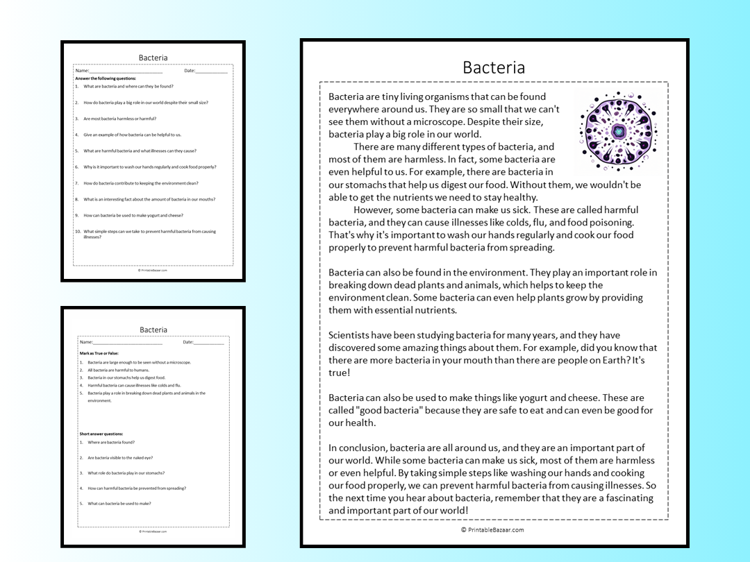 Bacteria Reading Comprehension Passage Printable Worksheet Teaching Resources