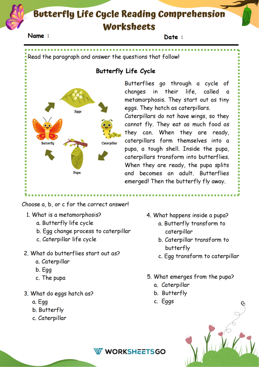Butterfly Life Cycle Reading Comprehension Worksheets WorksheetsGO