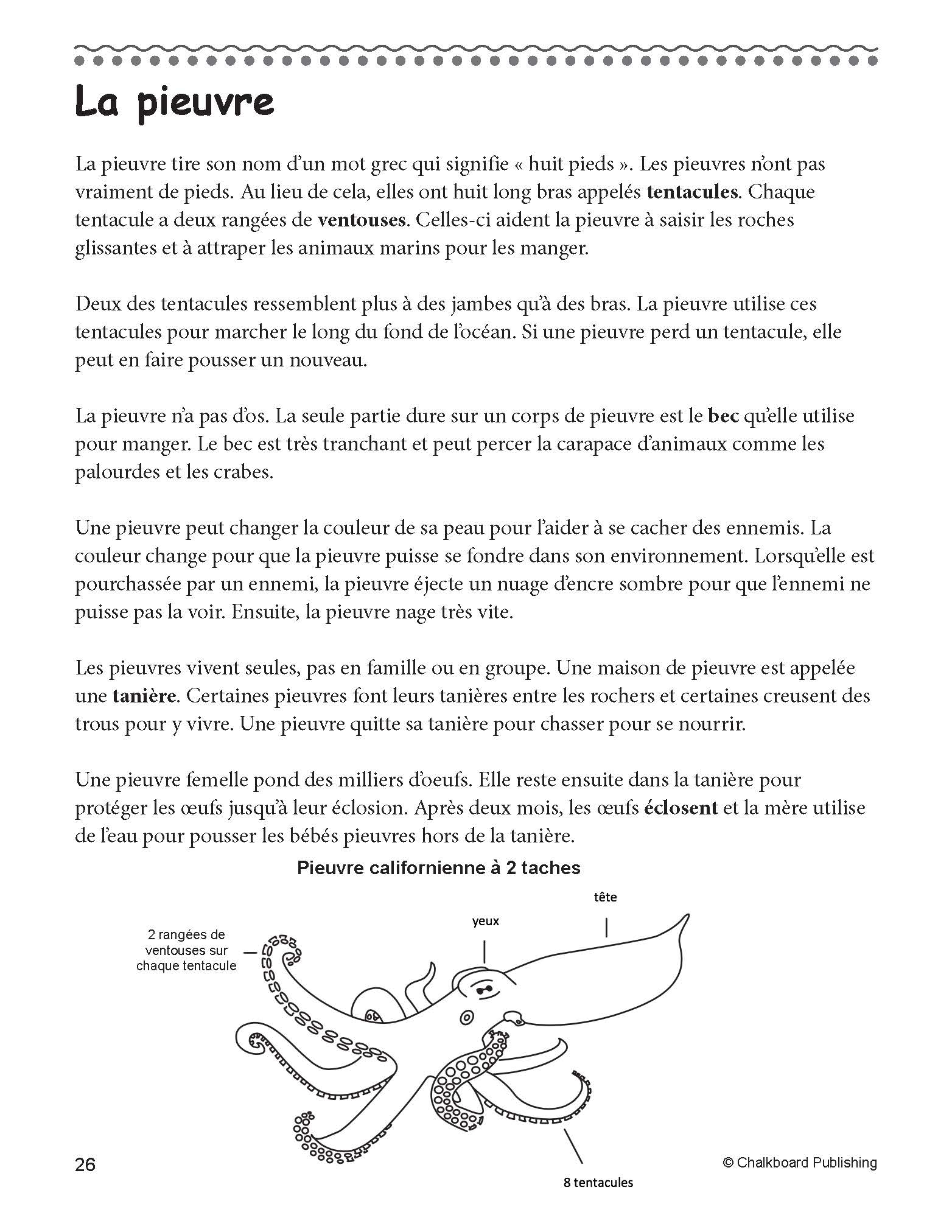 French Reading Comprehension Worksheets Grade 3