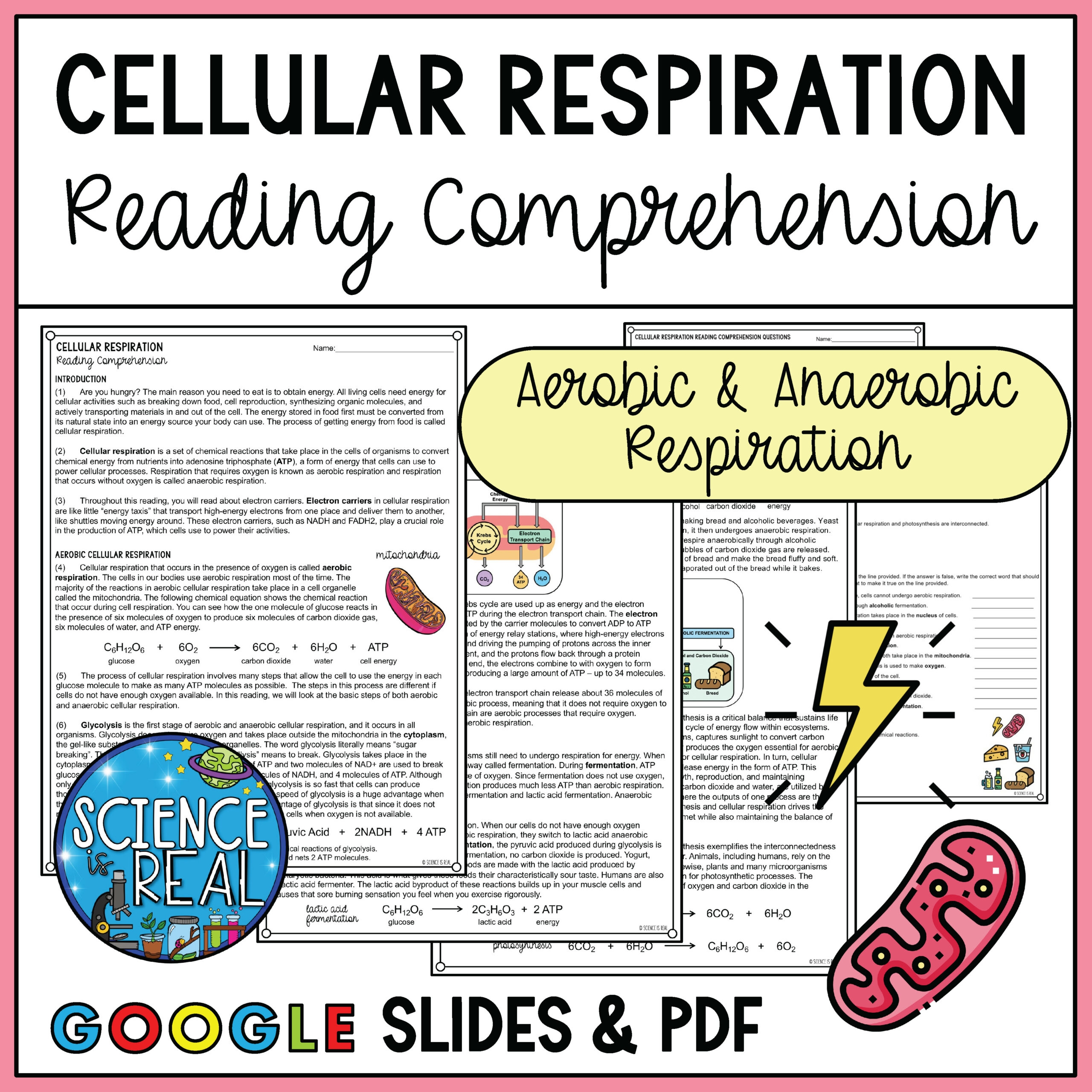 Cell Respiration Reading Comprehension And Questions Classful