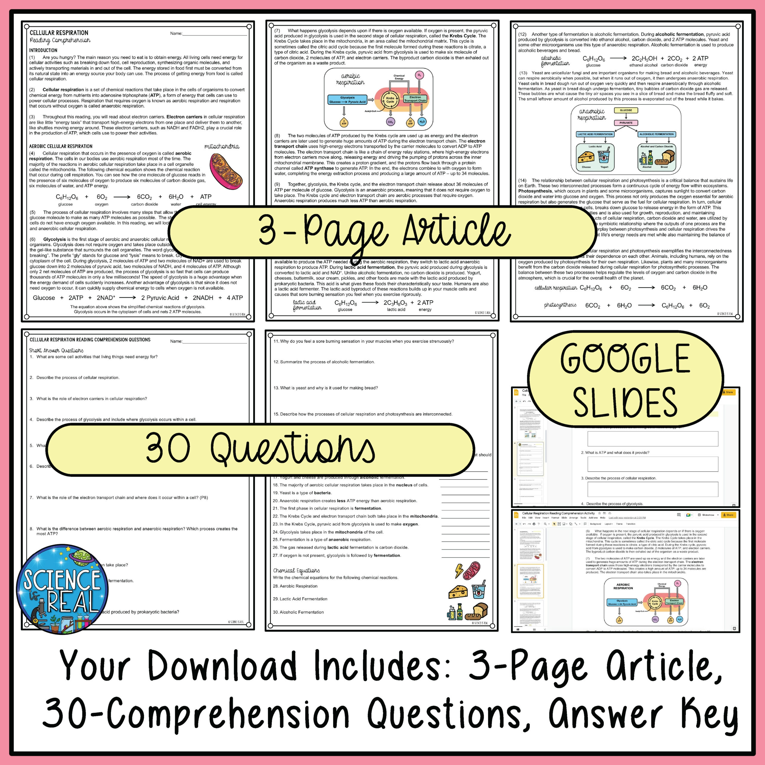 Cellular Respiration Reading Comprehension Worksheet