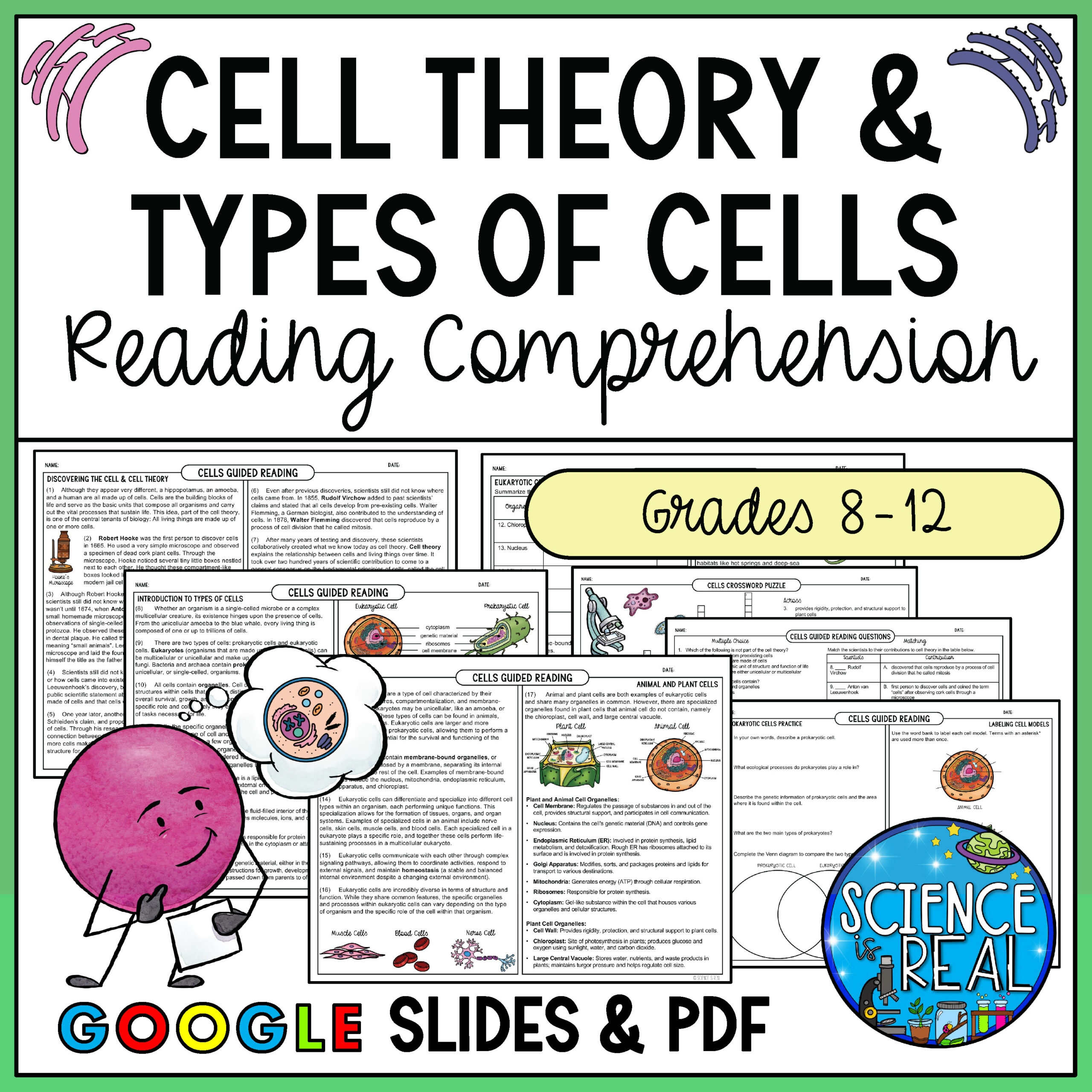Cells Reading Comprehension Cell Theory Types Of Cells And Cell Organelles Classful