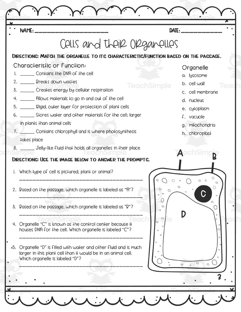 Cells Their Organelles Reading Activity By Teach Simple
