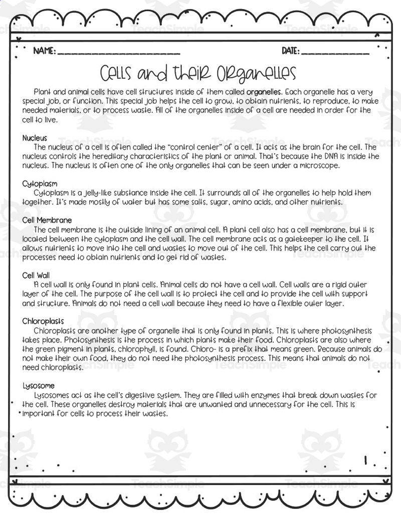 Cell Organelle Reading Comprehension Worksheets