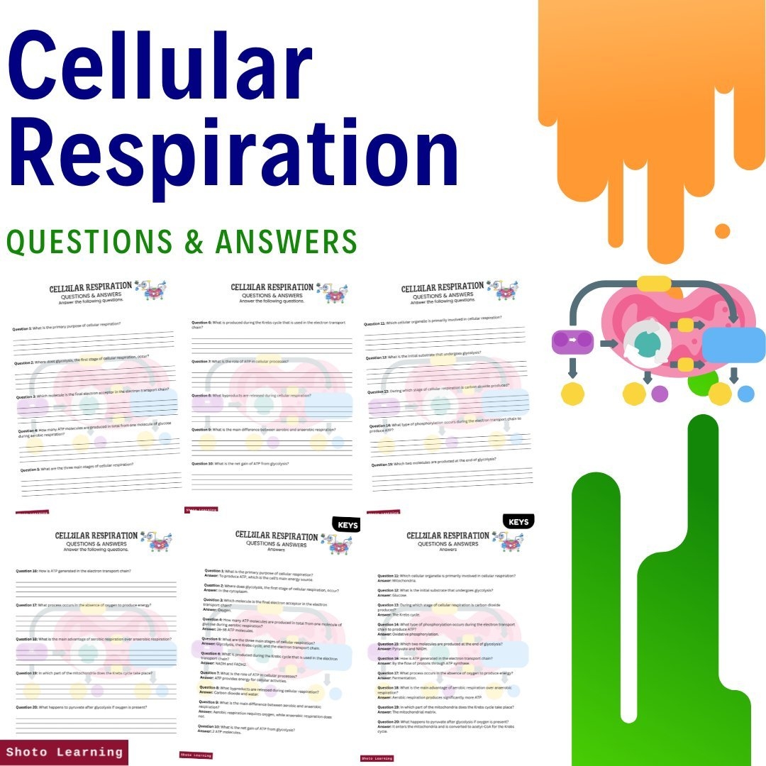 Cellular Respiration Reading Worksheet For Biology Students