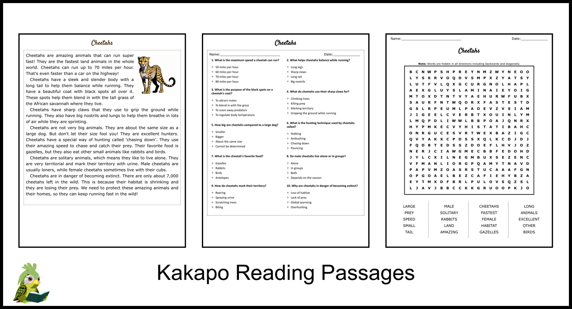 Cheetah Reading Comprehension Worksheets