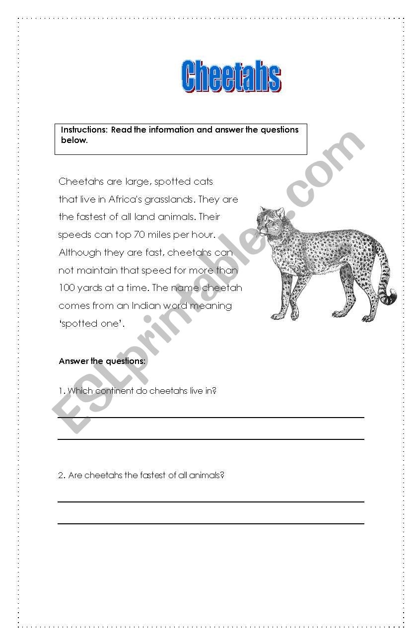 Cheetahs Reading Comprehension ESL Worksheet By Lorwen