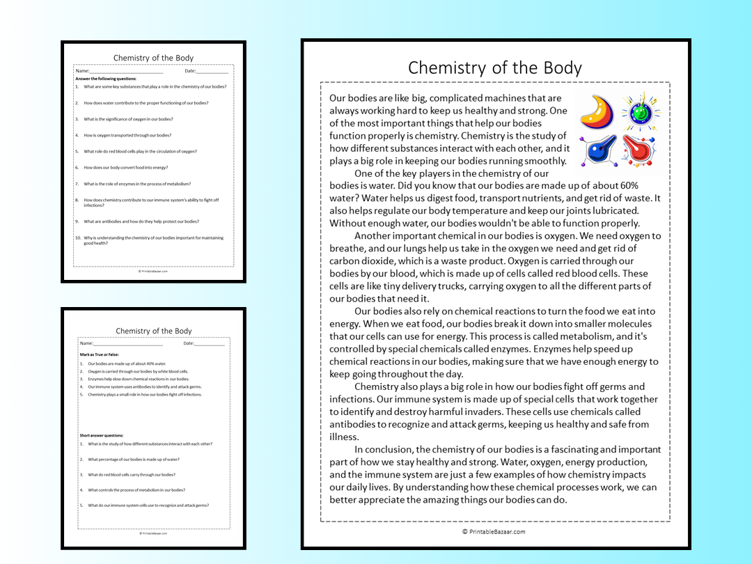 Chemistry Of The Body Reading Comprehension Passage Printable Worksheet Teaching Resources