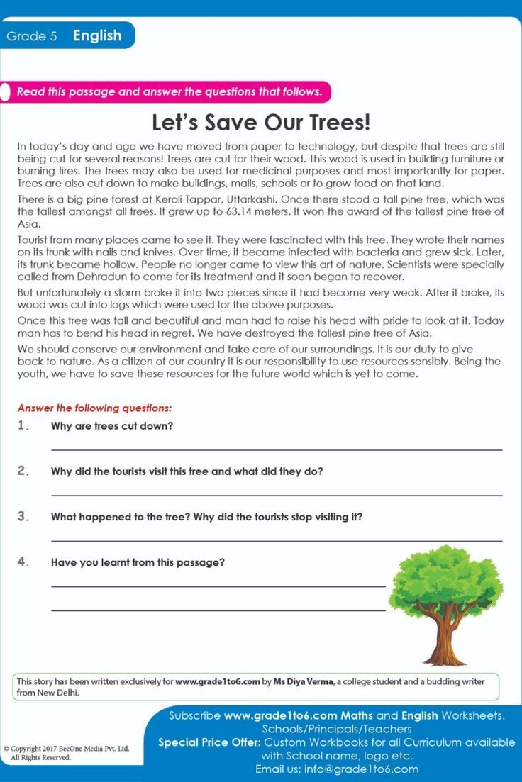 5 Grade Reading Comprehension Worksheets Pdf