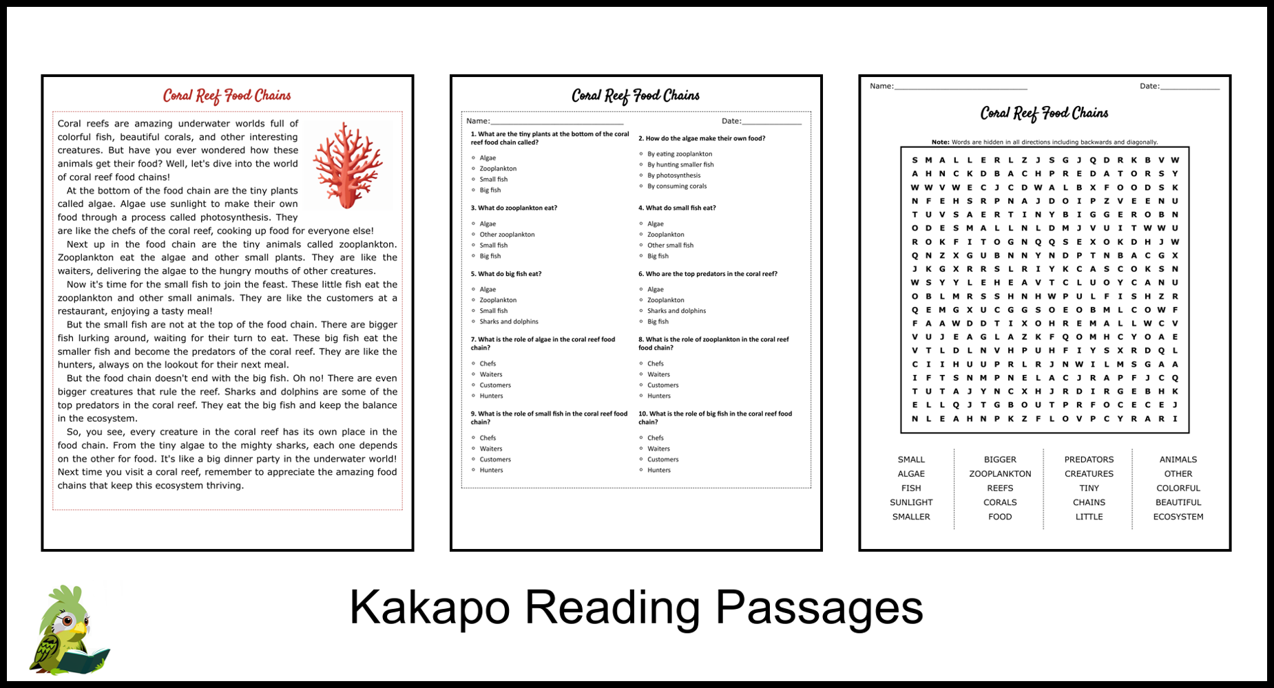 Coral Reef Reading Comprehension Worksheets Pdf