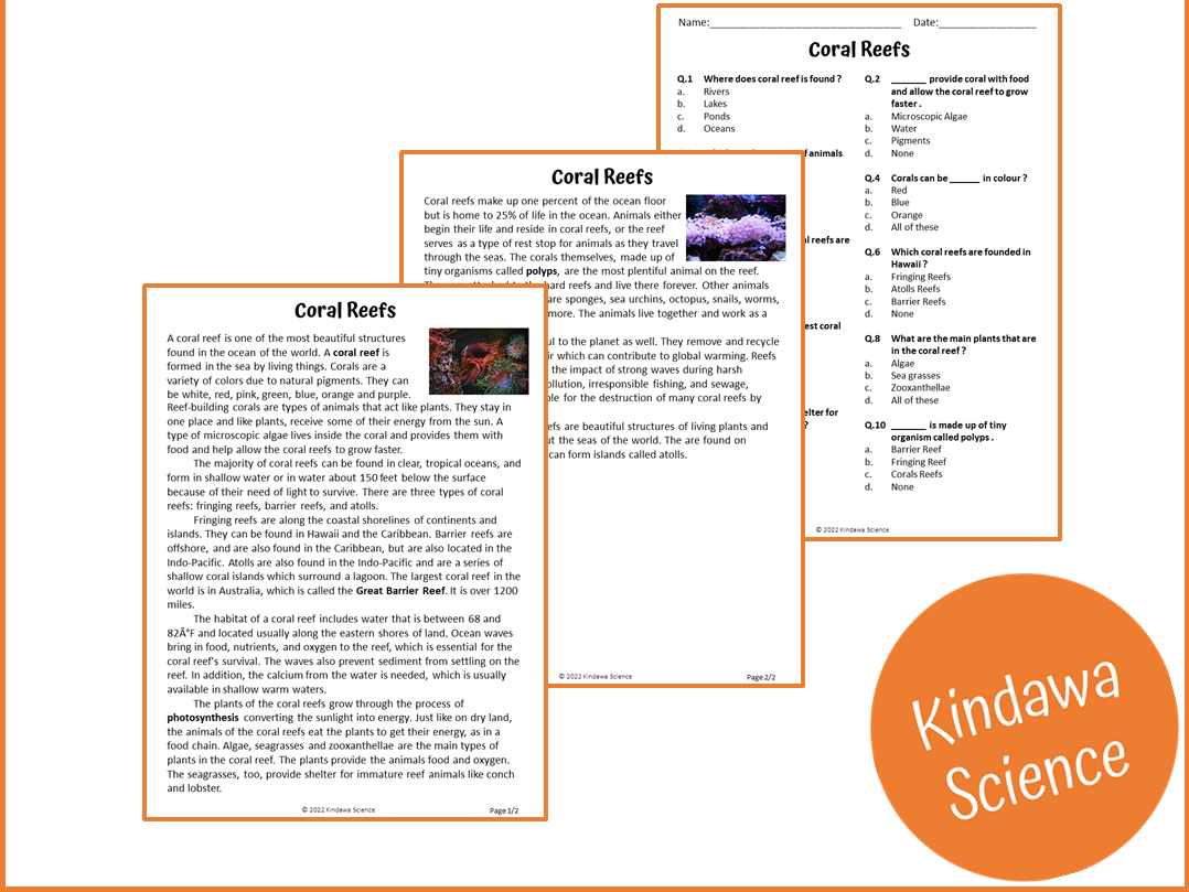 Coral Reefs Reading Comprehension Passage And Questions PDF Teaching Resources