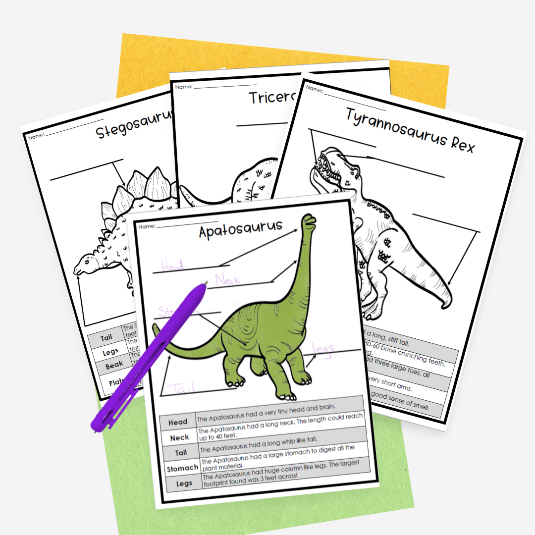 Dinosaur Reading Comprehension Having Fun First Dinosaur Reading Comprehension Having Fun First