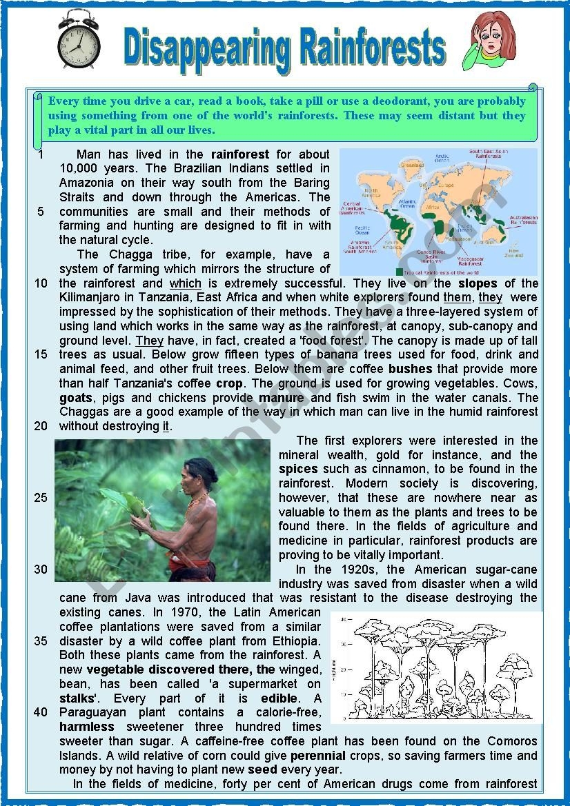 Esl Worksheets Rainforest Reading Comprehension