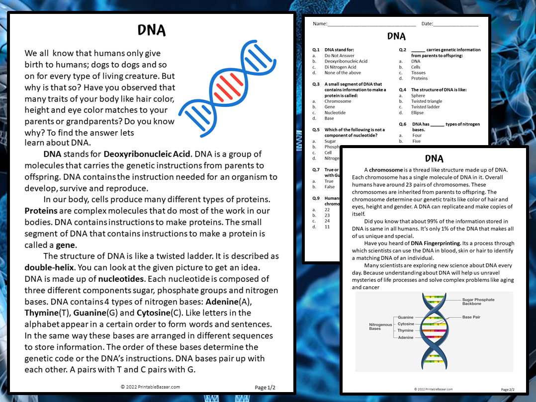 Dna Reading Comprehension High School Worksheet