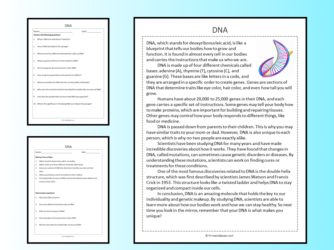 DNA Reading Comprehension Passage Printable Worksheet Teaching Resources