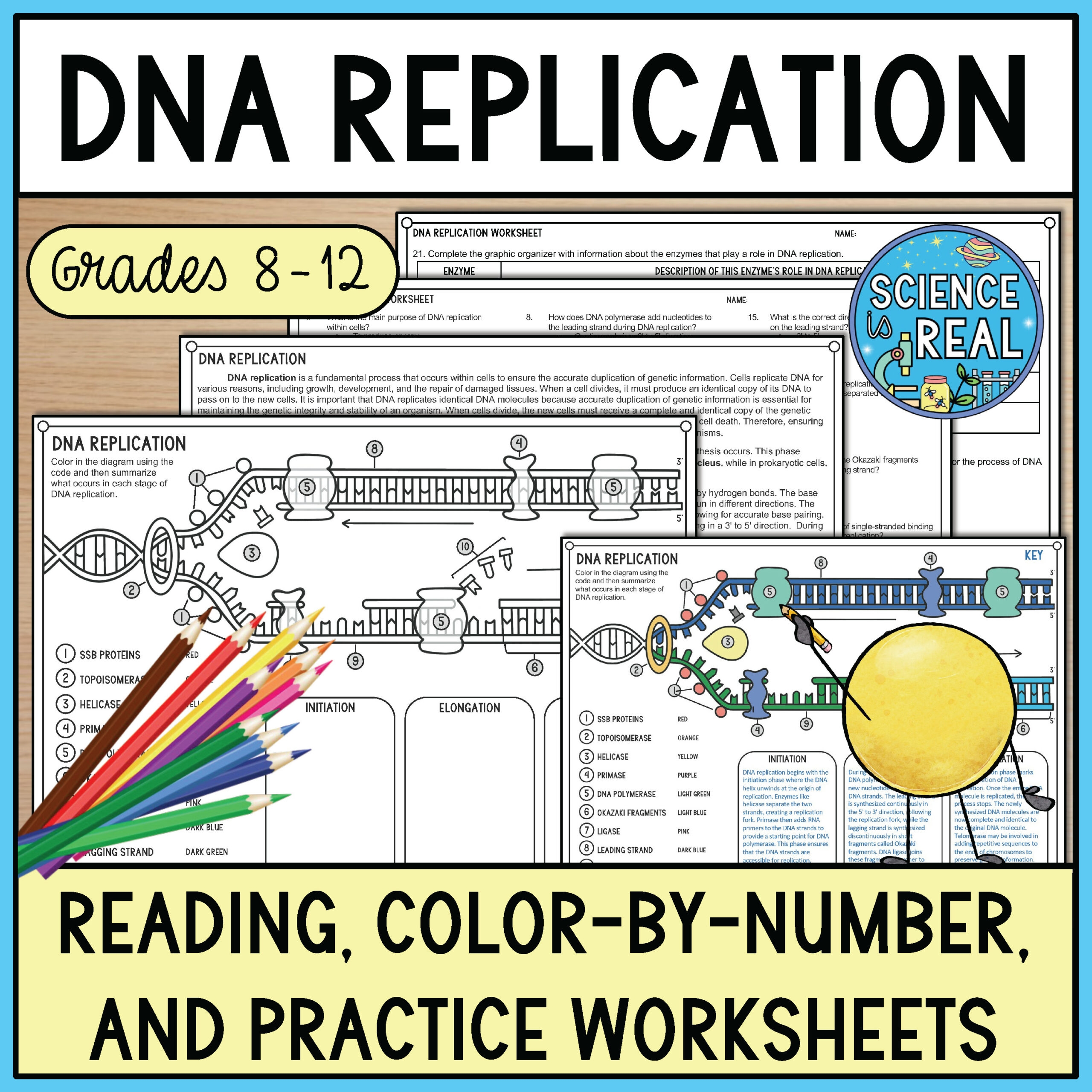 Dna Replication Reading Comprehension Worksheet