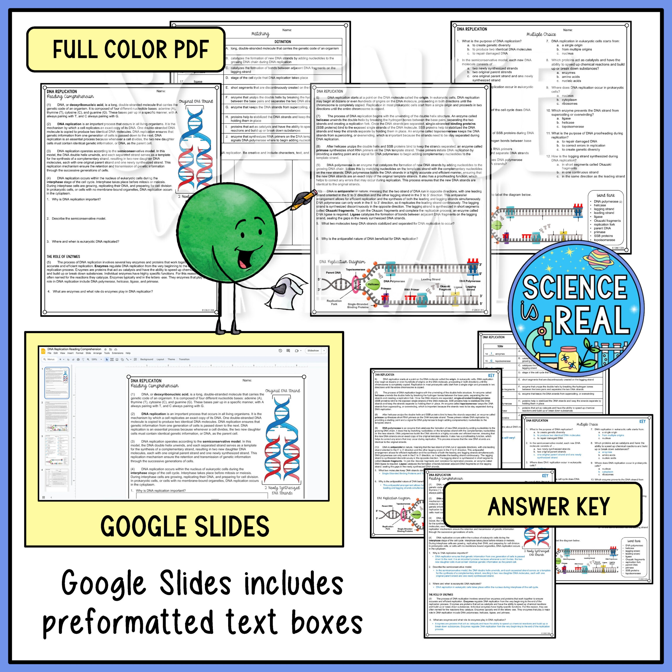 DNA Replication Reading Comprehension Classful