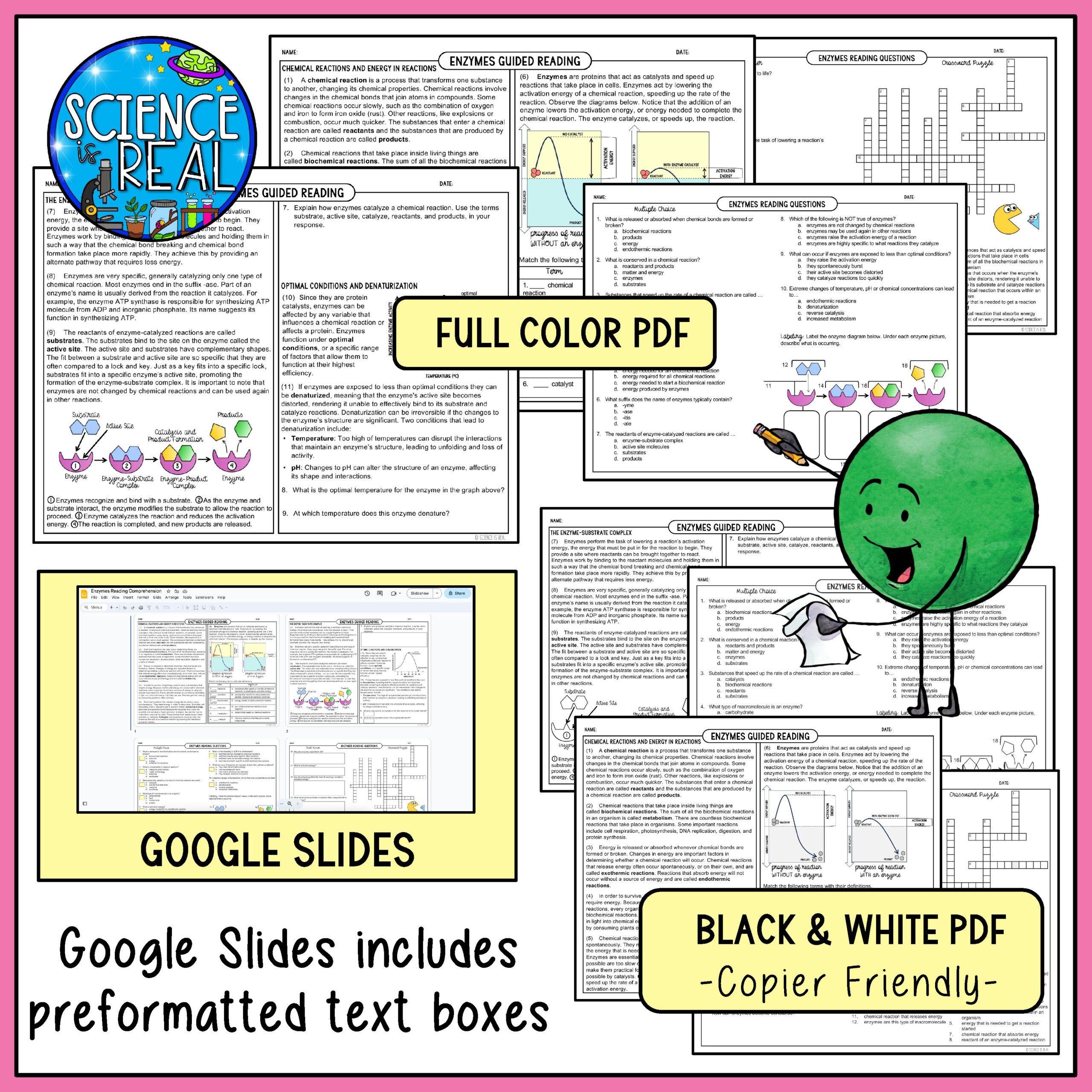 Enzymes Reading Comprehension Classful