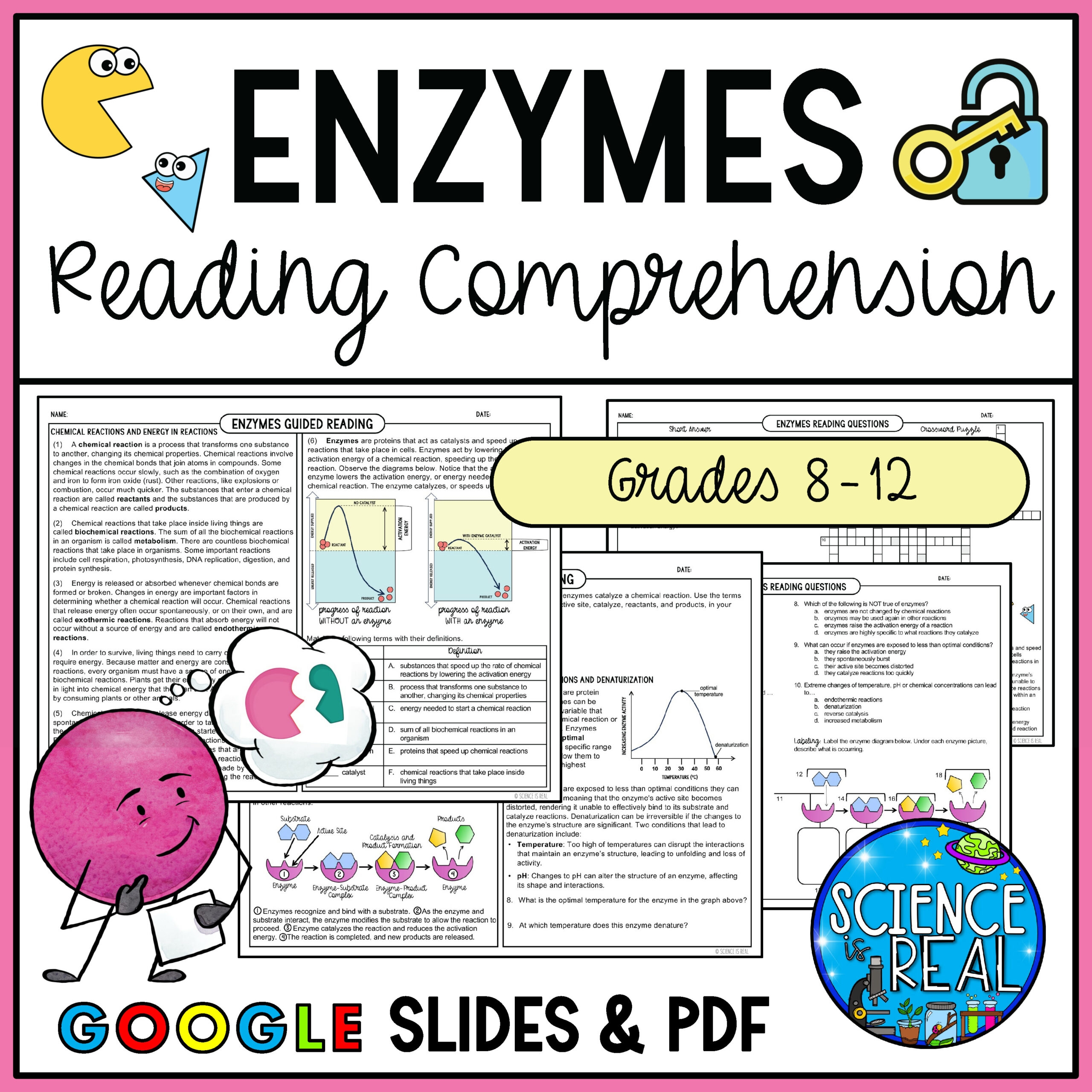 Enzymes Reading Comprehension Classful