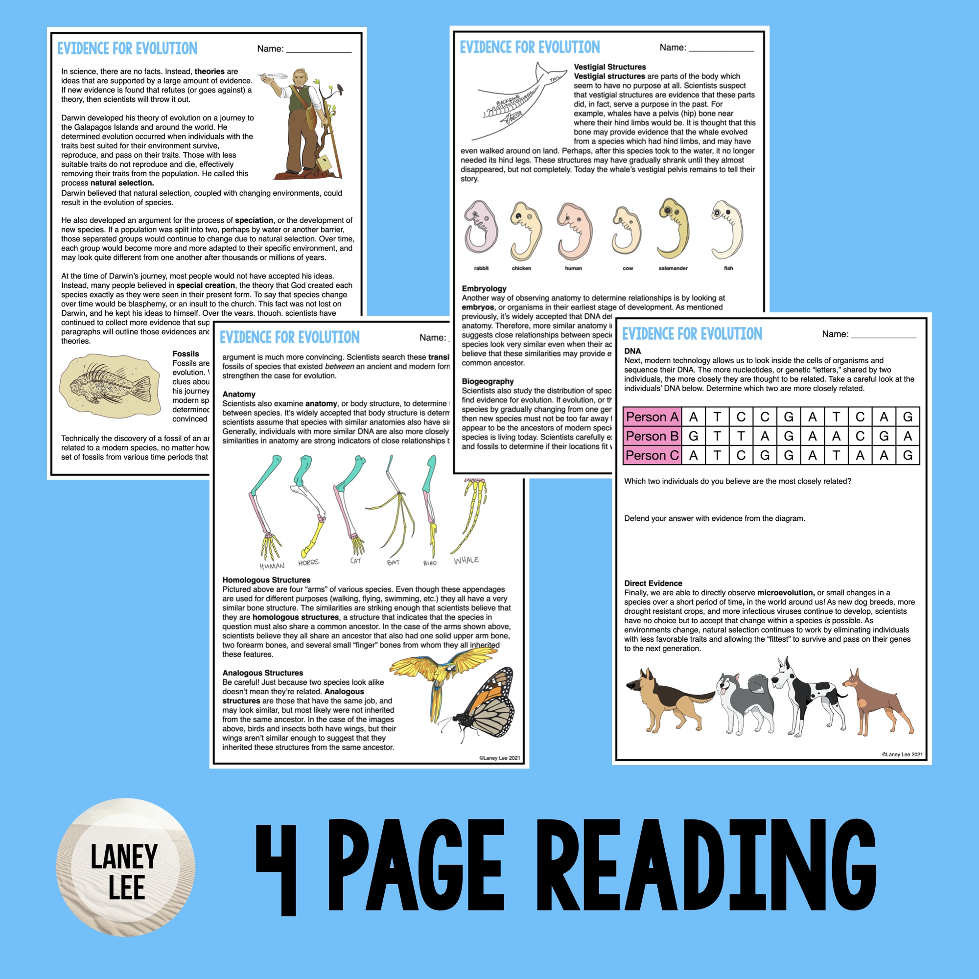 Evolutionist Reading Comprehension Worksheet Middle School