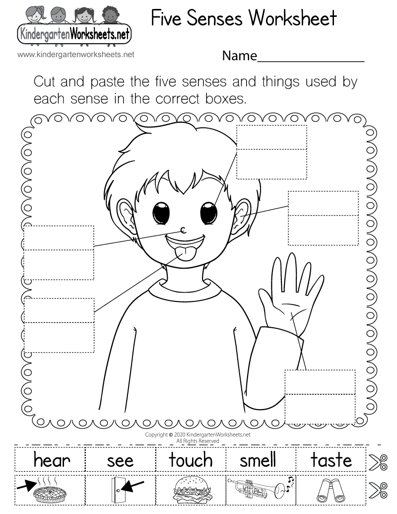 Five Senses Worksheet Free Printable Digital PDF