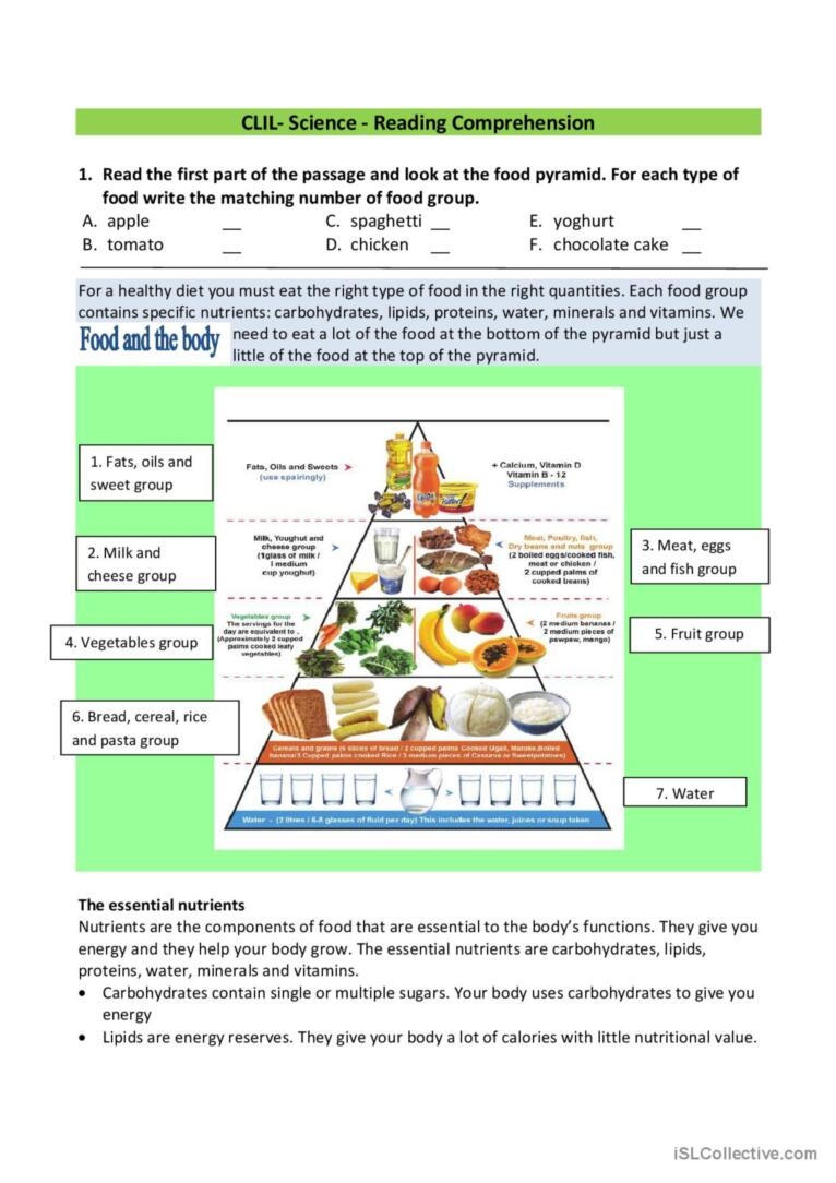 Food Pyramid English ESL Worksheets Pdf Doc