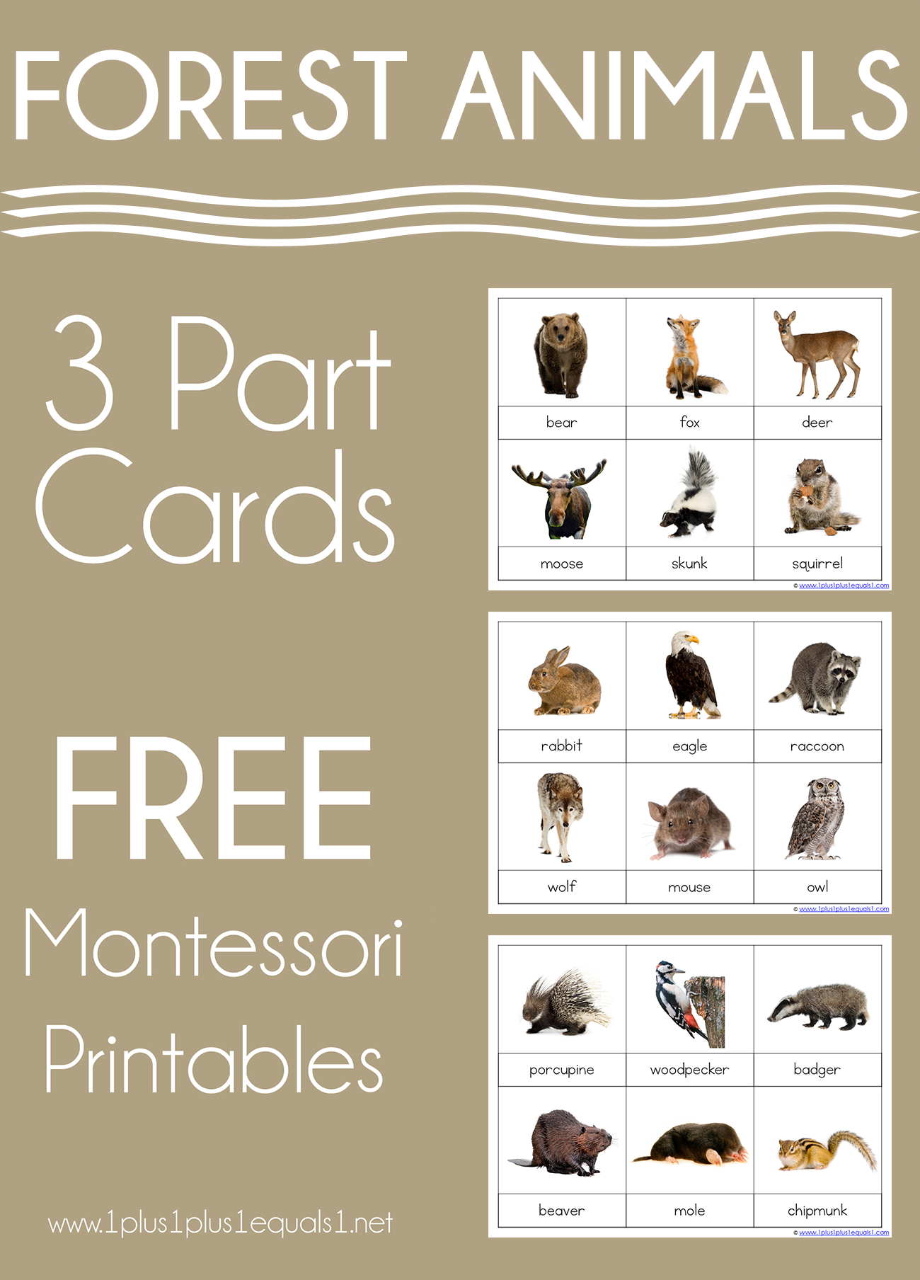 Forest Animals Montessori Printables FREE 3 Part Cards 1 1 1 1 Forest Animals Montessori Printables FREE 3 Part Cards 1 1 1 1