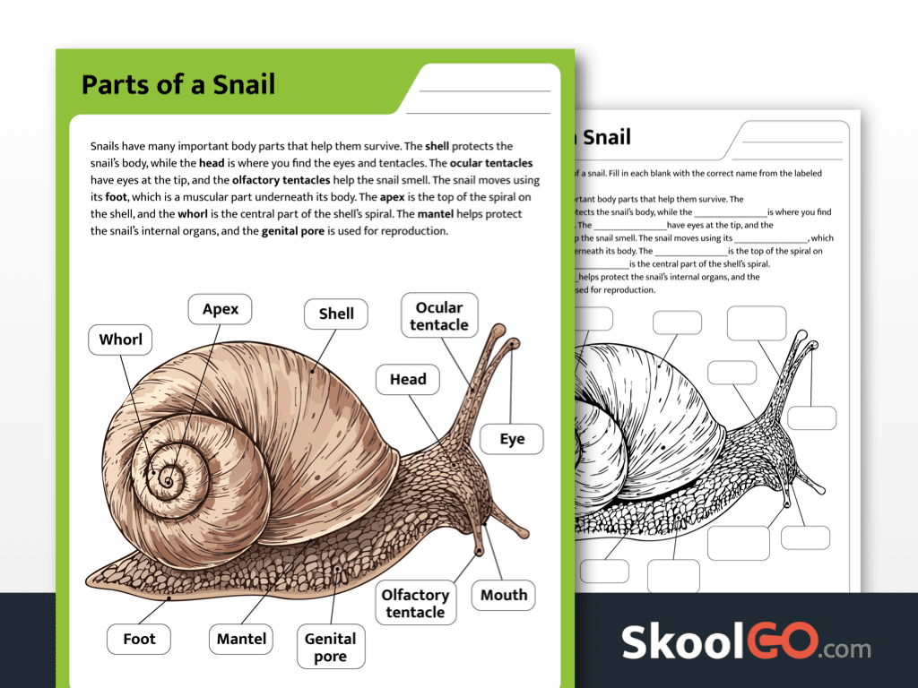 Free Biology Printable Worksheets SKOOLGO