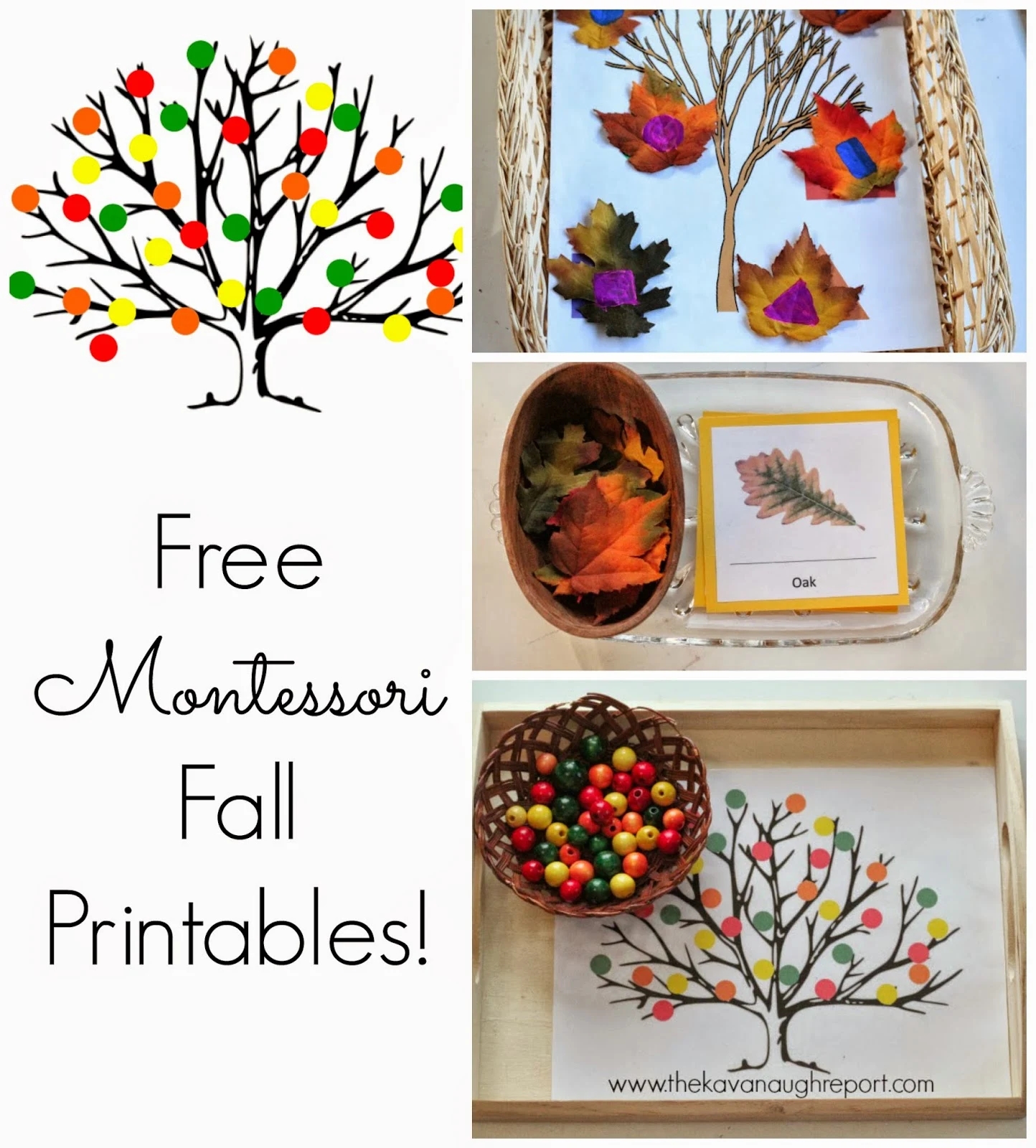 Montessori Worksheet Free Printable Montessori Worksheet Free Printable