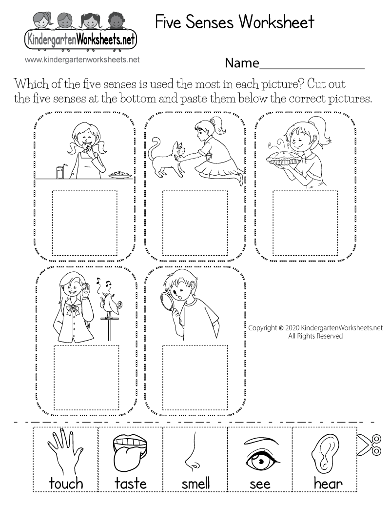 Preschool Free Printable Five Senses Worksheets