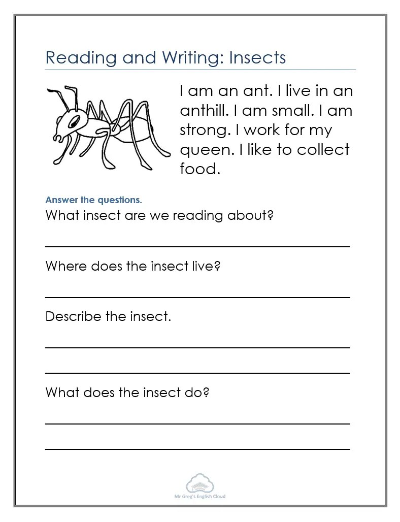Free Insect Reading Comprehension Worksheets