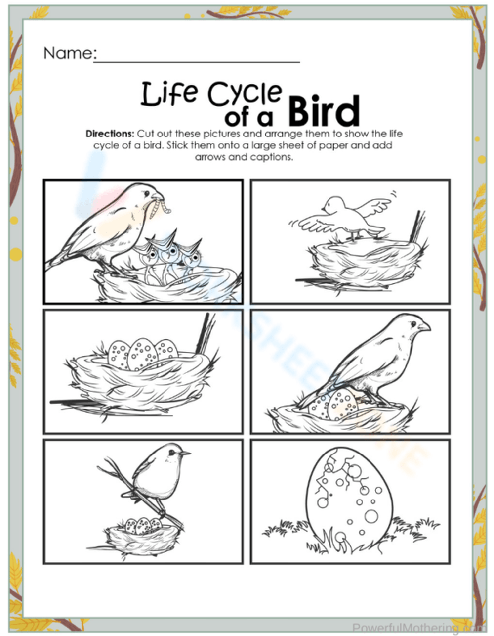 Free Printable Interactive Life Cycle Of A Bird Worksheets Worksheets Library