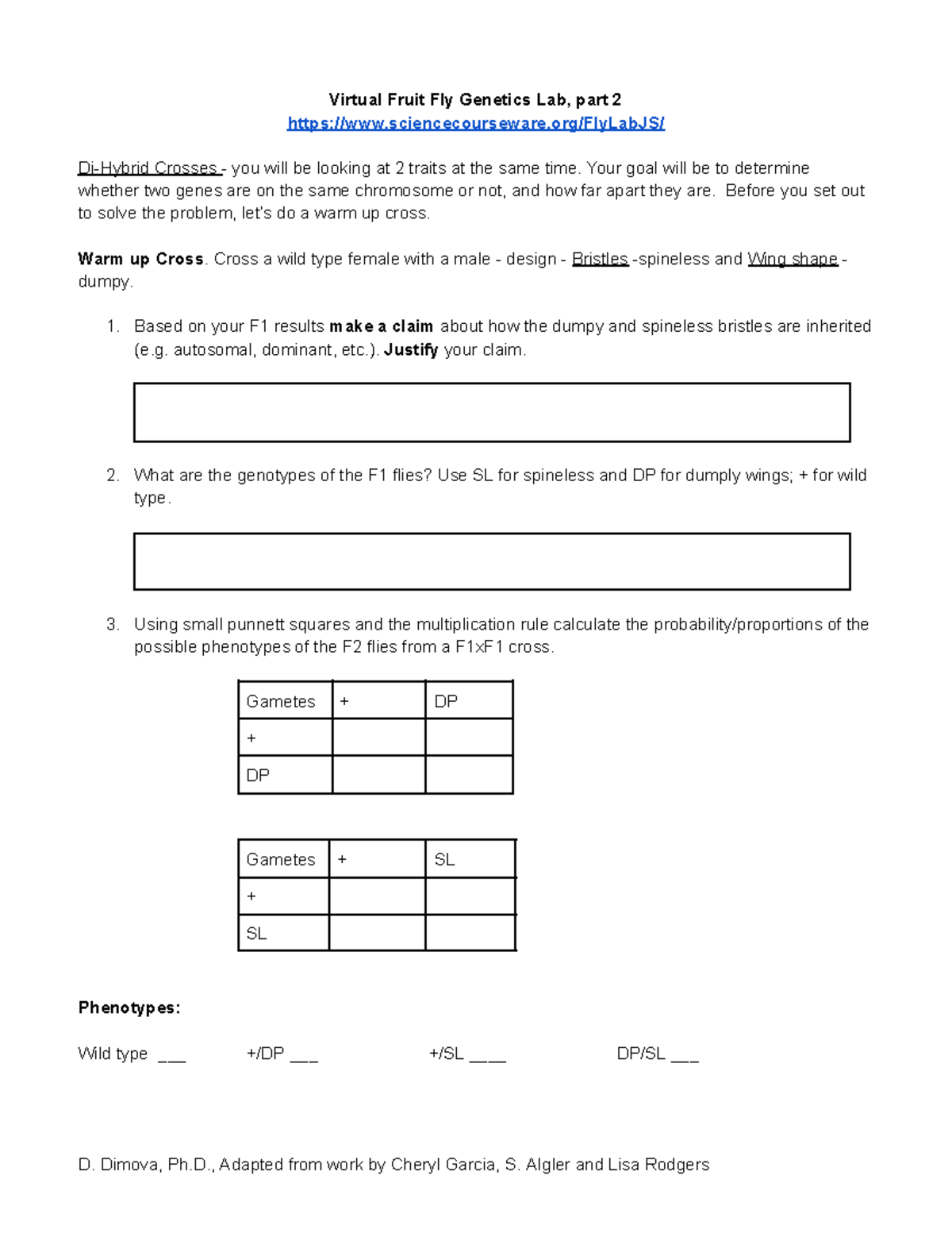 Fruit Fly Lab Worksheet Virtual Fruit Fly Genetics Lab Part 2 Sciencecourseware FlyLabJS Studocu