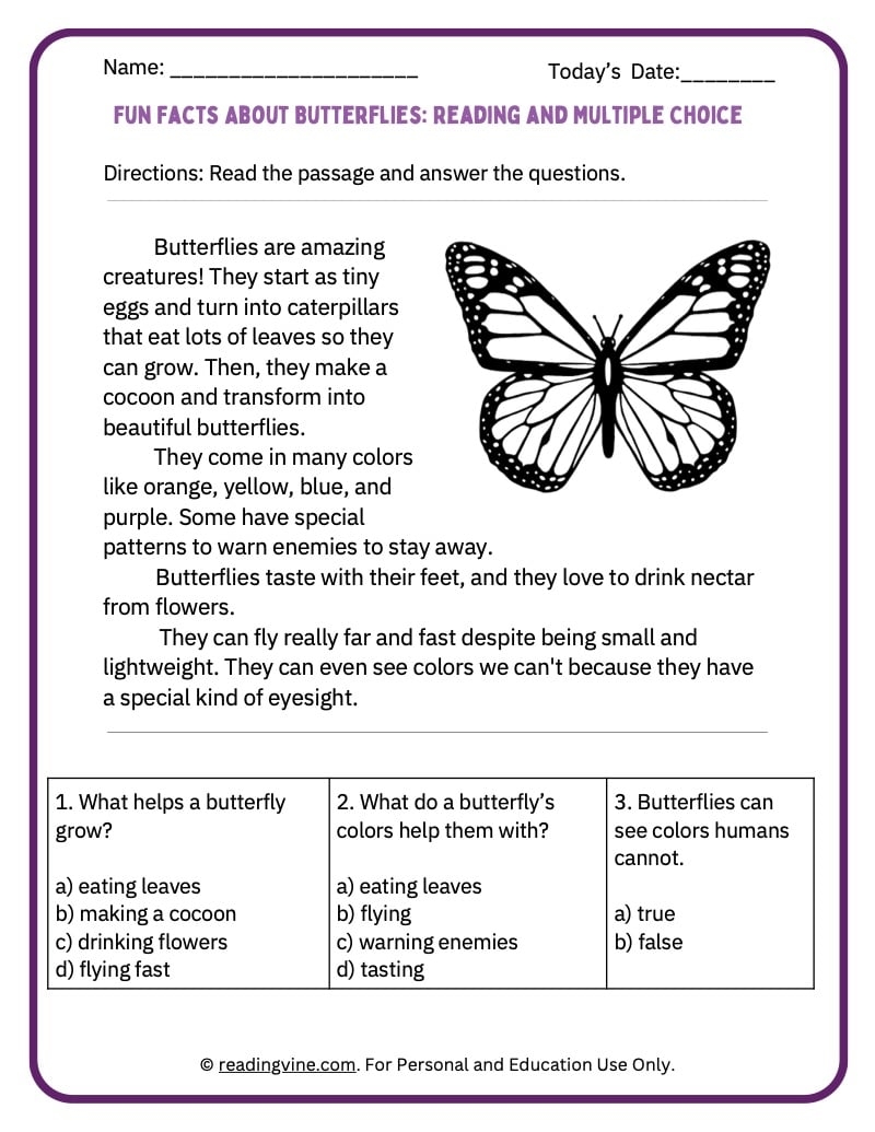Grade Reading Comprehension Worksheets Butterfly